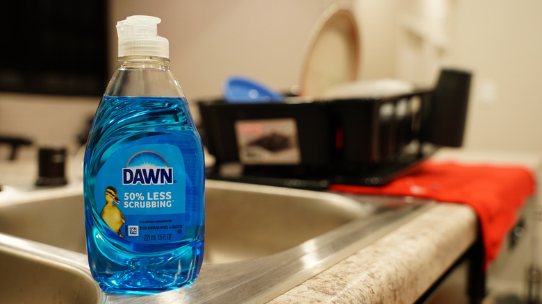 A bottle of Dawn dish soap on a sink.