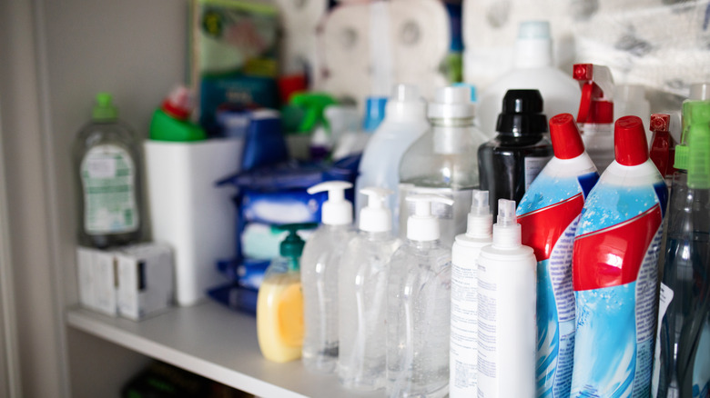 Cleaning products inside cabinet