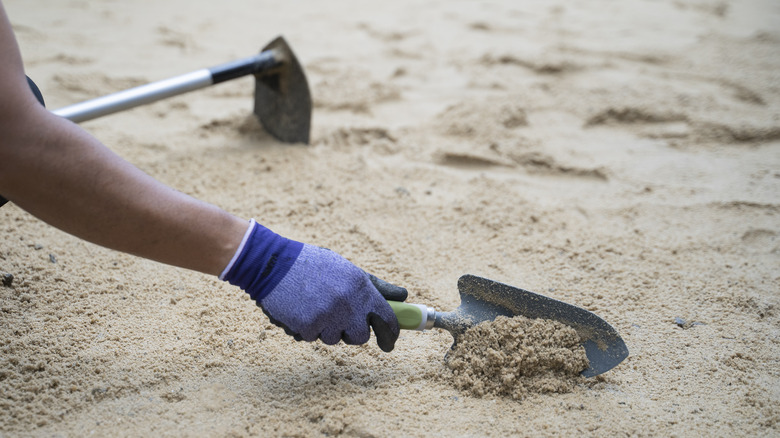 Person smoothing sand for pavers