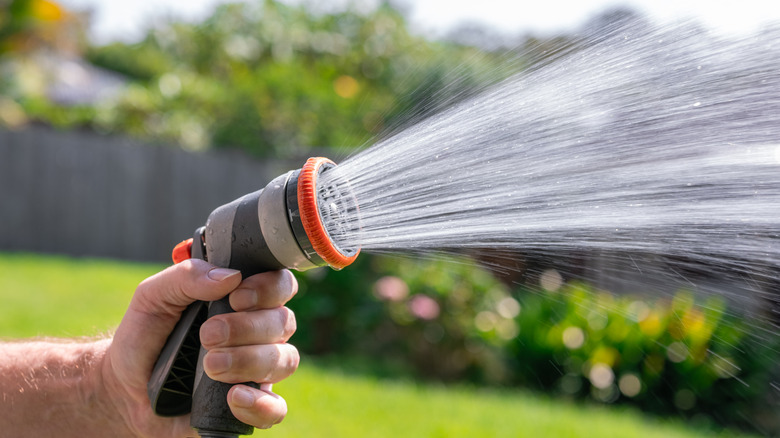 Man's hand holding garden hose with sprayer attachment, watering the garden