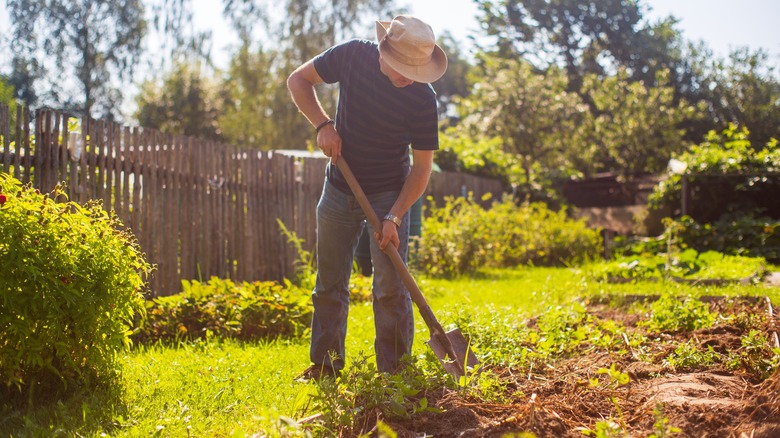 Gardener preparing soil before planting