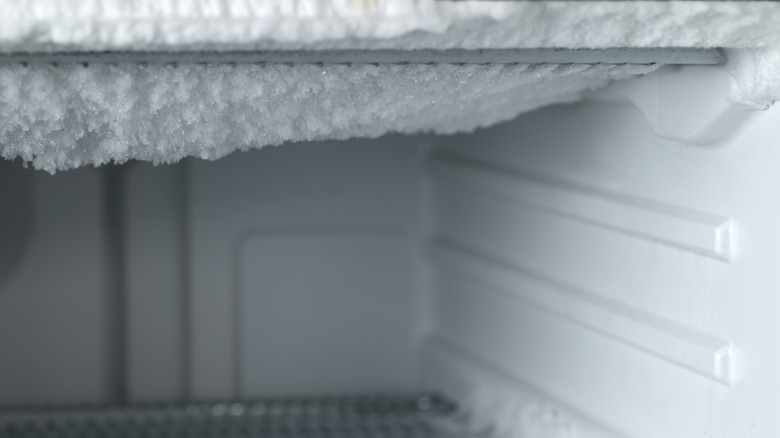 frosty freezer