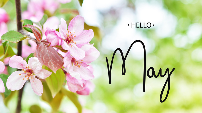 Hello May sign with flowers
