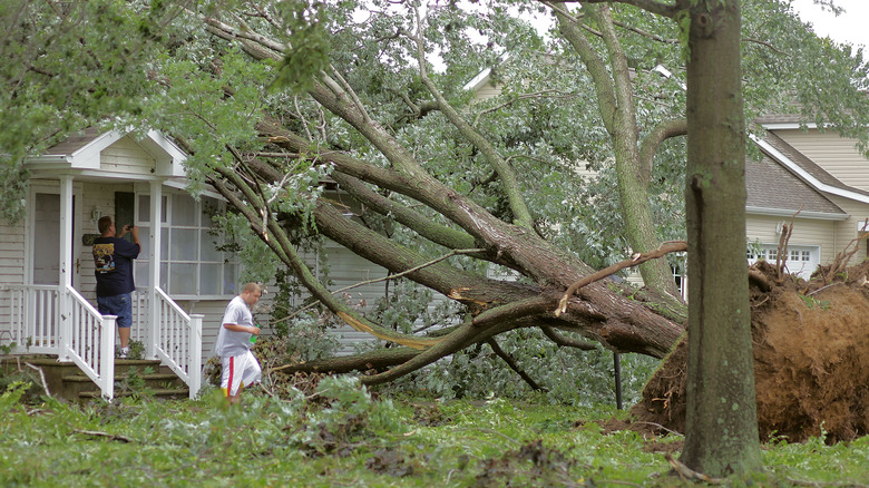 tree fell on home 