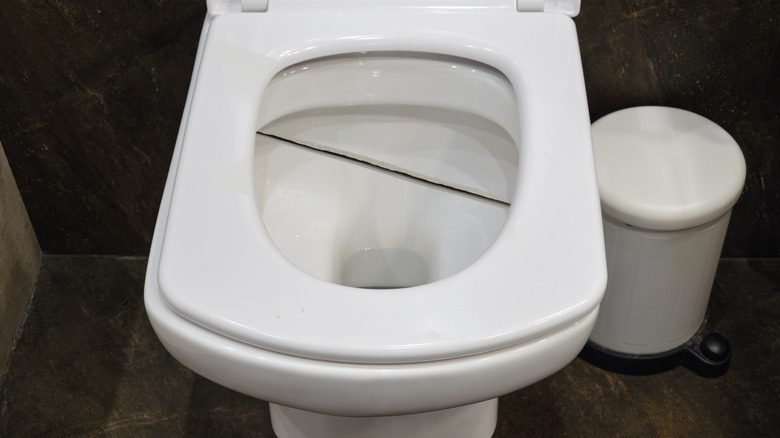 Crack in toilet bowl