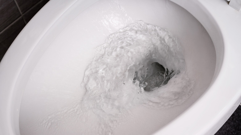 toilet bowl flushing water