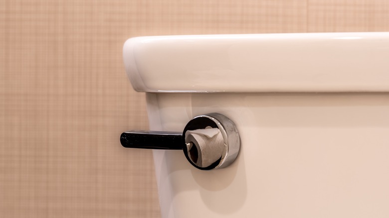 chrome toilet flush lever 