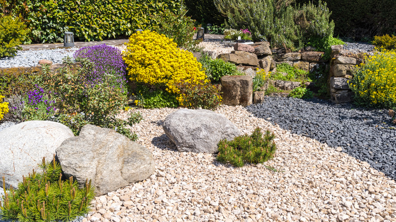 gravel garden with colorful plants and large rocks