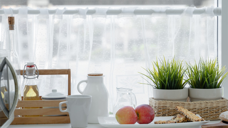 Café curtain on lower window 