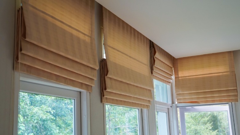 Roman shades on windows 