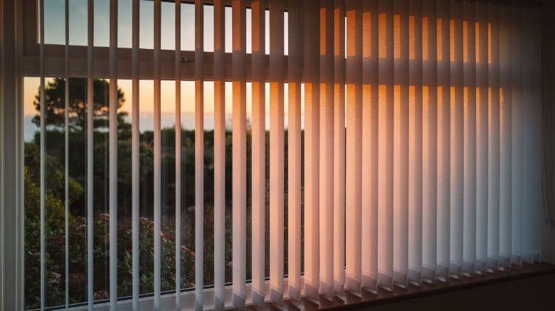 Vertical blinds on windows 