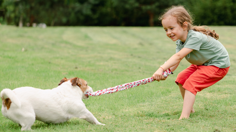 child and dog playing tug-of-war