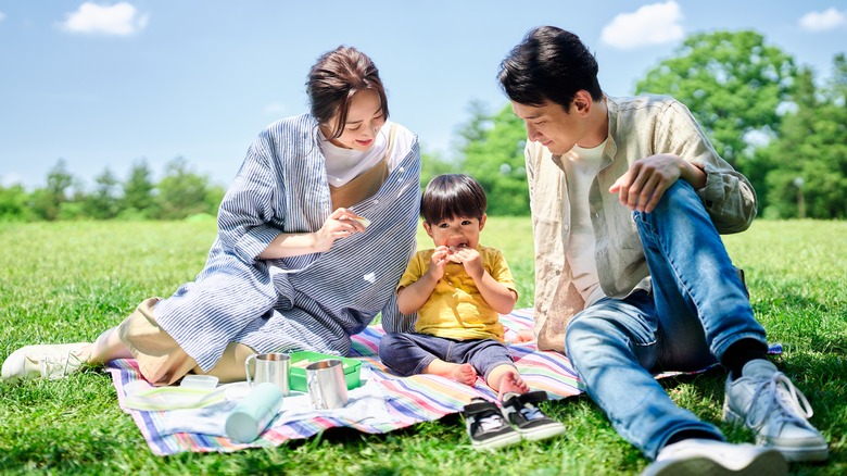 family enjoying a picnic in the park