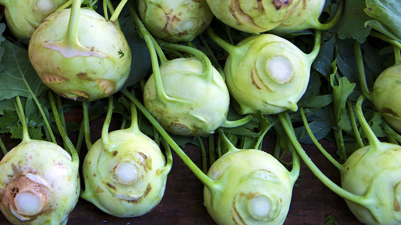 kohlrabi with leaves