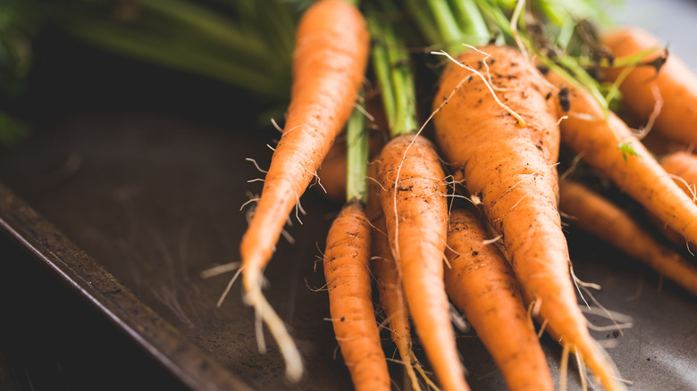 Freshly harvested carrots on table