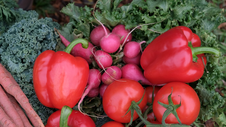 Radishes and peppers in basket