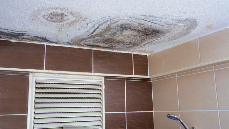 radiating pattern ceiling mold in bathroom caused by roof leaks