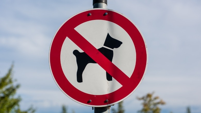 No dogs allowed sign 