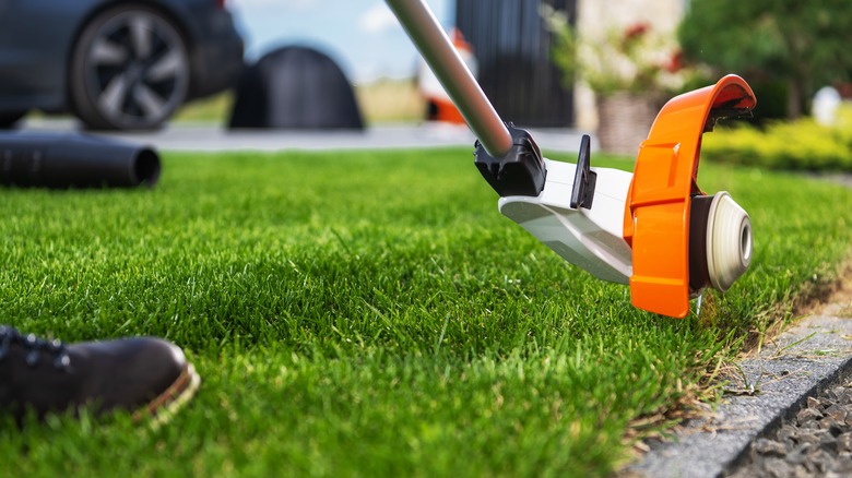 A person trimming the edge of their lawn using a weed eater