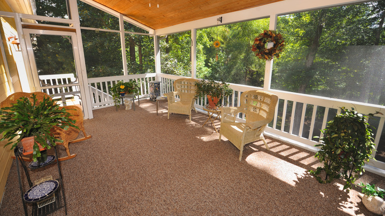 Enclosed patio with brown carpeting, large windows, chairs, and plants.