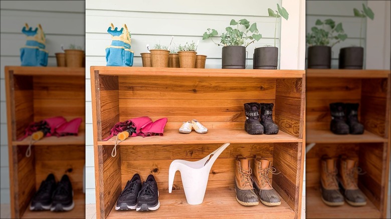 shoes and plants on bookcase