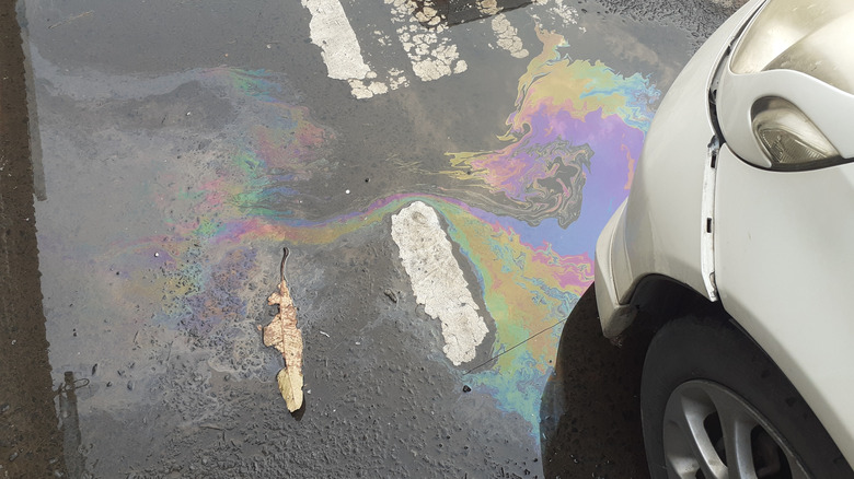 oil stains and water on asphalt under car