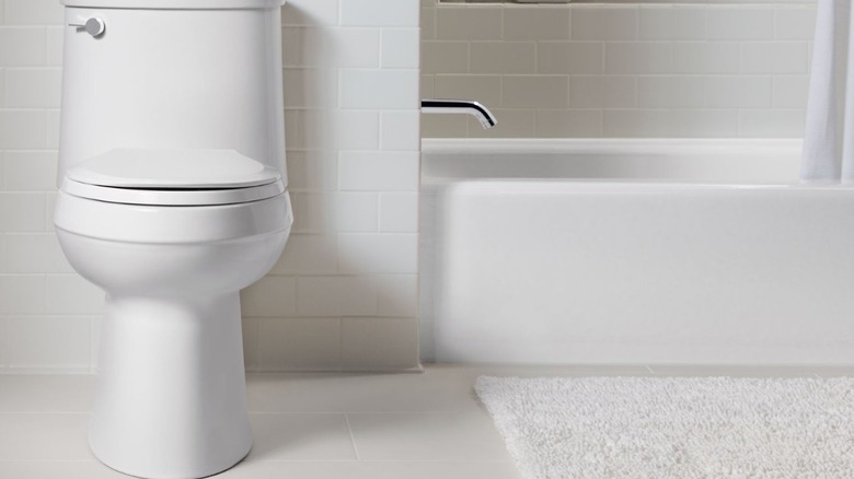 Kohler toilet installed in a bathroom