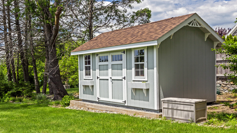 backyard shed with windows