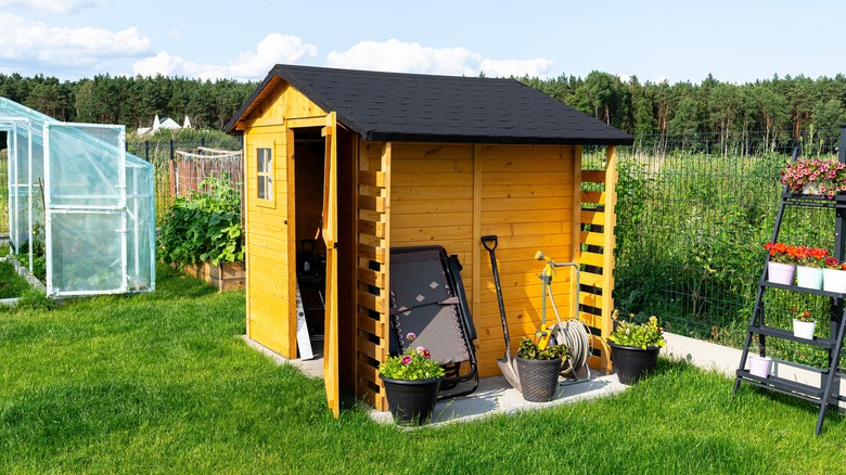 wood backyard shed