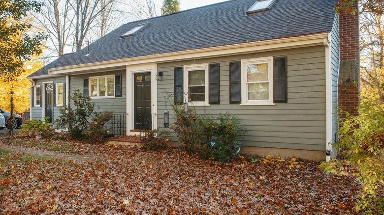 A lawn covered in leaves