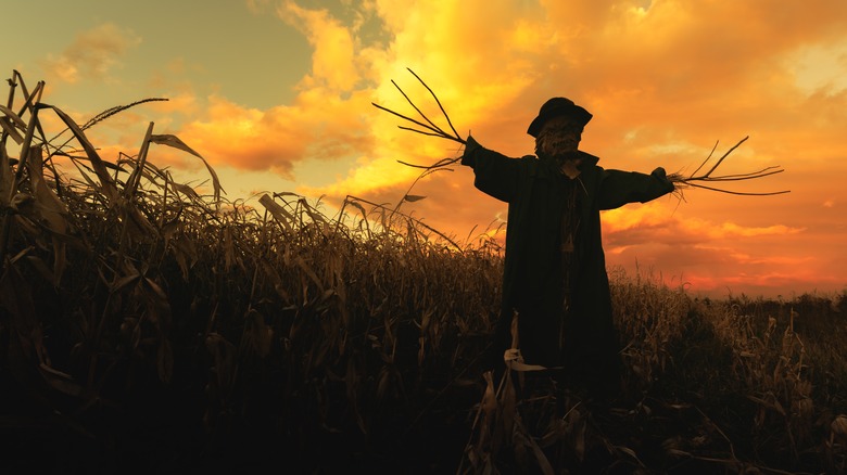 scarecrow in field at sunset