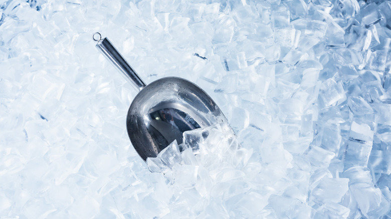 ice cubes and scooper