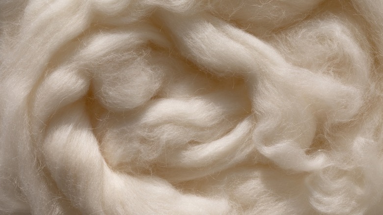 Soft wool fibers