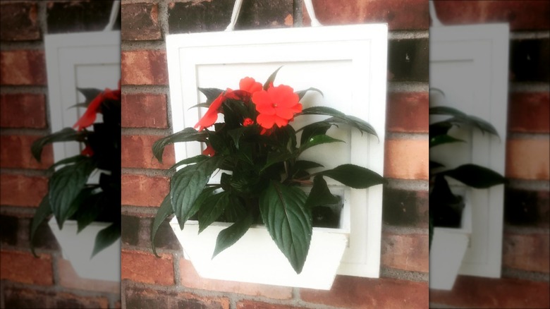 white wall hanging planter