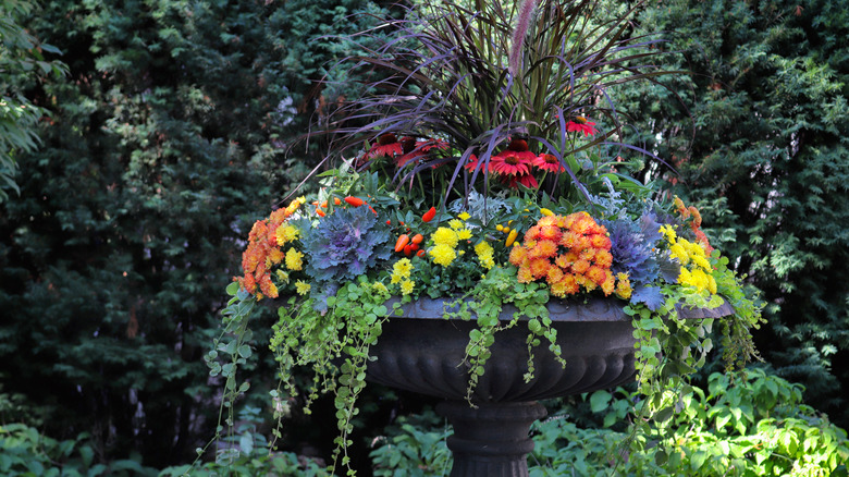 A large basin features a colorful plant arrangement featuring tall grasses, ornamental kale, flowers, and trailing plants.