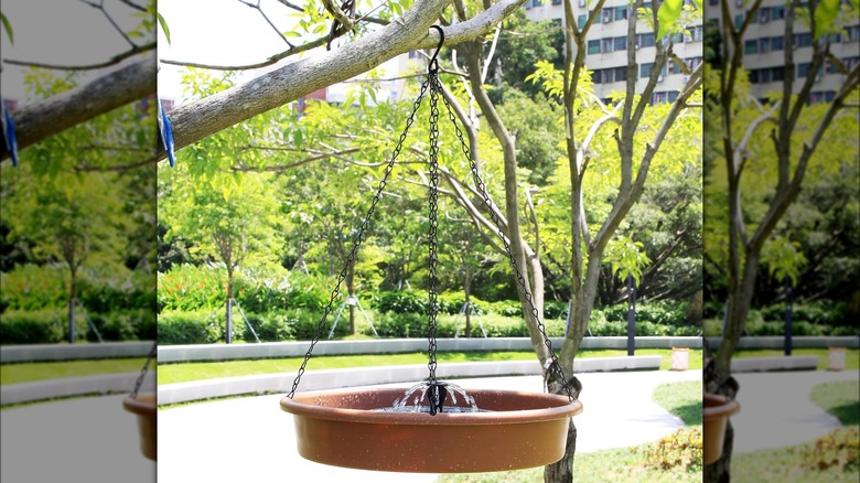 Hanging bird fountain