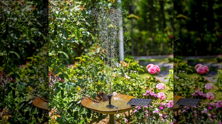 solar fountain in birdbath