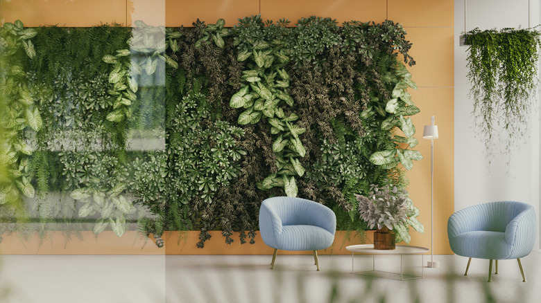 A large plant wall dominates the wall in an interior space