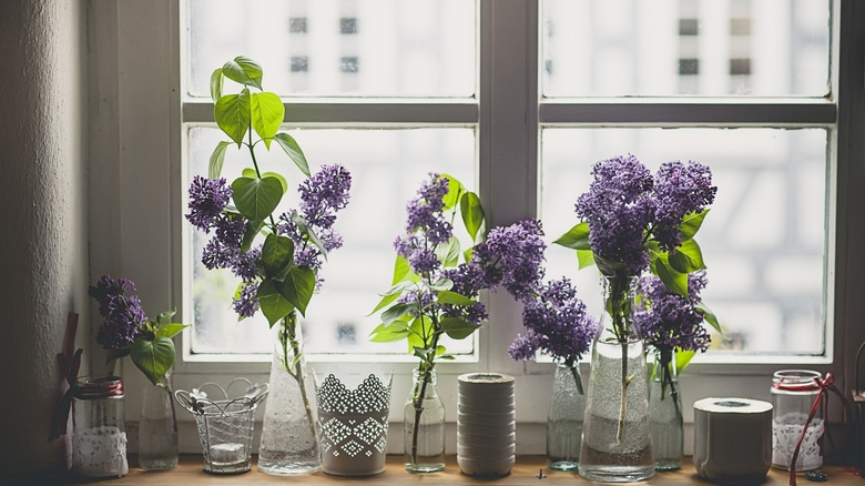 vases on window sill