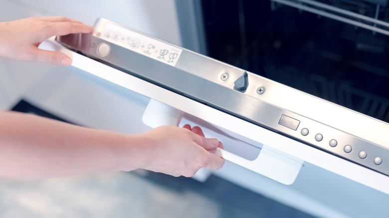 Hands opening empty dishwasher