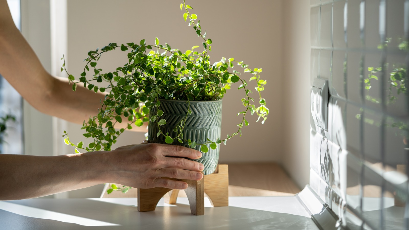 Create High-End Home Decor Planters For Less With This Easy Dollar Tree DIY