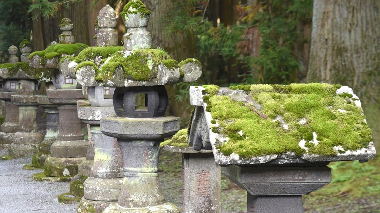 mossy sculptures on gravel pathway