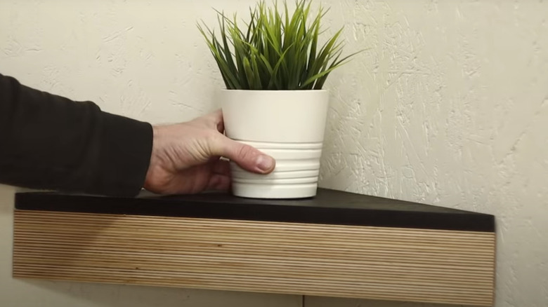 floating shelf with plant