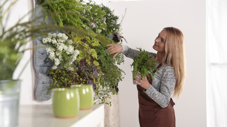 woman tending to a vertical garden