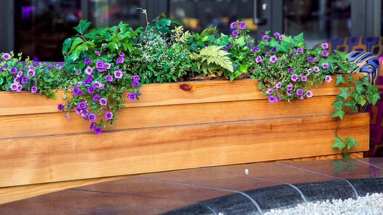 A luxury wooden planter box filled with flowering shrubs.