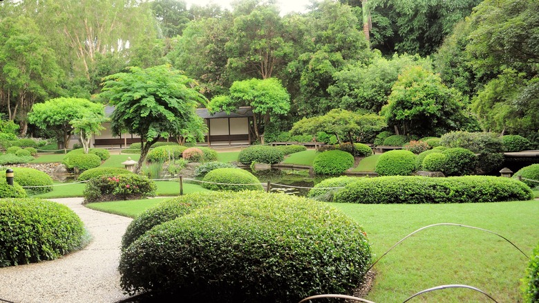 Zen garden landscape