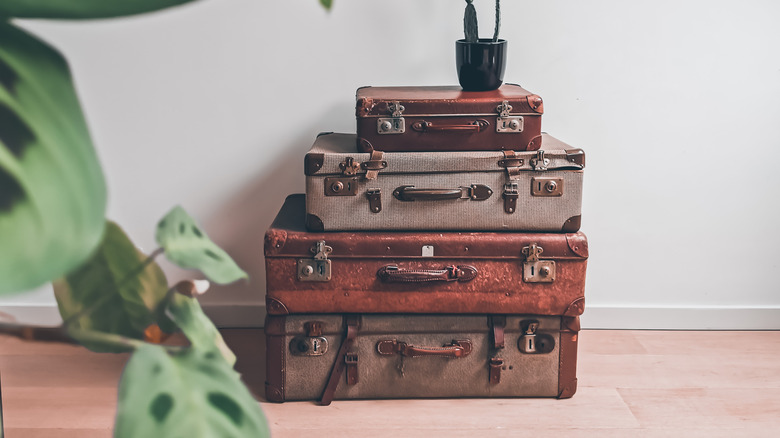 stacked vintage suitcases with plant