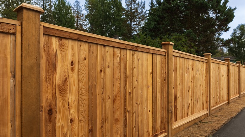 wood fence around backyard