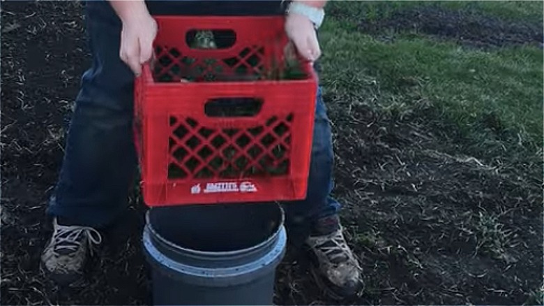 man sifting soil with milk crate