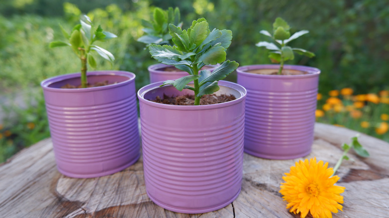 reused painted tin cans